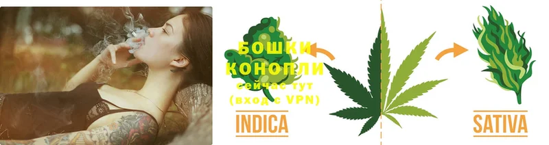 маркетплейс наркотические препараты  как найти наркотики  Гдов  Канабис White Widow 